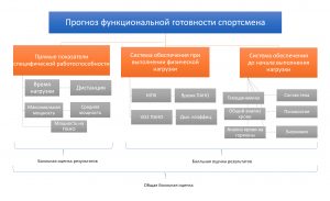 Рис. №1. Прогноз функциональной готовности спортсмена.